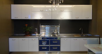 集成灶的優(yōu)缺點有哪些 集成環(huán)保灶的優(yōu)缺點分析