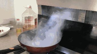 森歌集成灶萬人廠購節,好產品經得起體驗