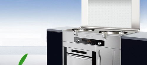 集成灶10大品牌排行 火星人無(wú)懸念領(lǐng)跑