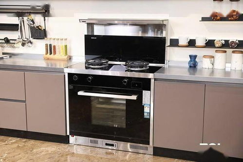 廚電智能新形態(tài) 森歌d3zk天貓精靈款集成灶評(píng)測(cè)