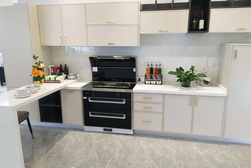 升級廚房四樣高級貨，凈水機(jī)讓生活更健康便捷